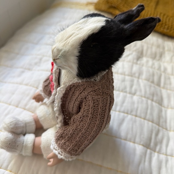 Handcrafted taxidermy Bunny Doll with Brown Sweater - Picture 3 of 3
